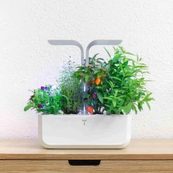 Veritable Classic Indoor Herb Garden 10 Veritable Classic Indoor Herb Garden -Kitchen Supplie Shop HU0007VeritableClassicIndoorHerbGardenlifestyle2