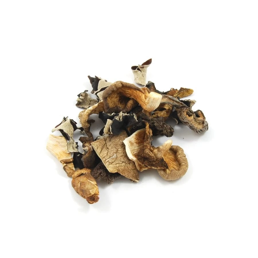 Mixed Wild Mushrooms 500g 2 Mixed Wild Mushrooms 500g - Image 2